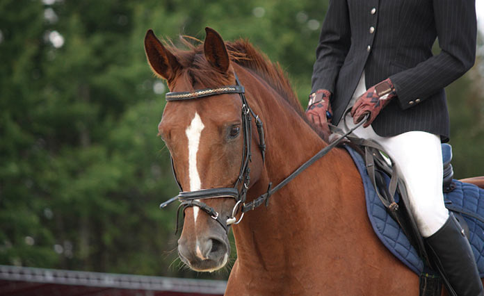 Grayson Schirmer horse riding