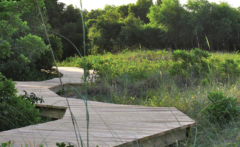 Sullivan's Island's Nature Boardwalk