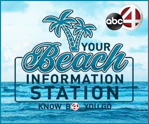 WCIV ABC News 4 partners with Charleston area beaches for easy access to beach information ... read more!