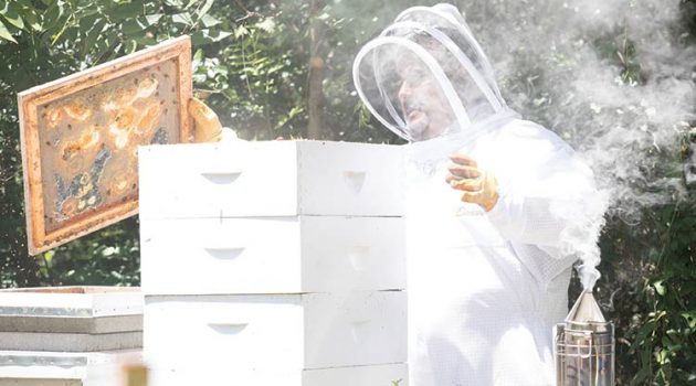 Allan Perry (AP) Hazel in his beekeeper suit
