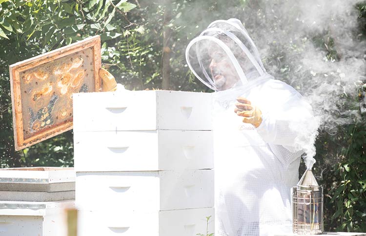 Allan Perry (AP) Hazel in his beekeeper suit