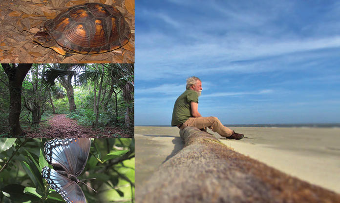 Sullivan's Island's Nature Boardwalk photos